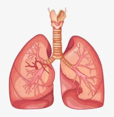 晚期肺癌应该怎么治疗?听听重庆中医专家石毓斌的说法